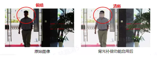 背光補(bǔ)償效果對比